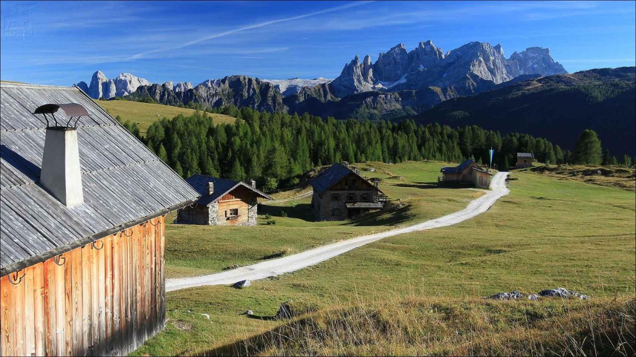 Monza Dolomites Hotel Moena Extérieur photo